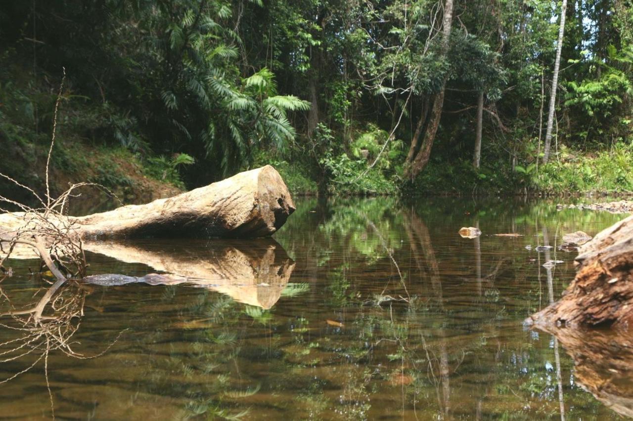 فيلا Cow Bayفي Daintree Rainforest Bungalows المظهر الخارجي الصورة